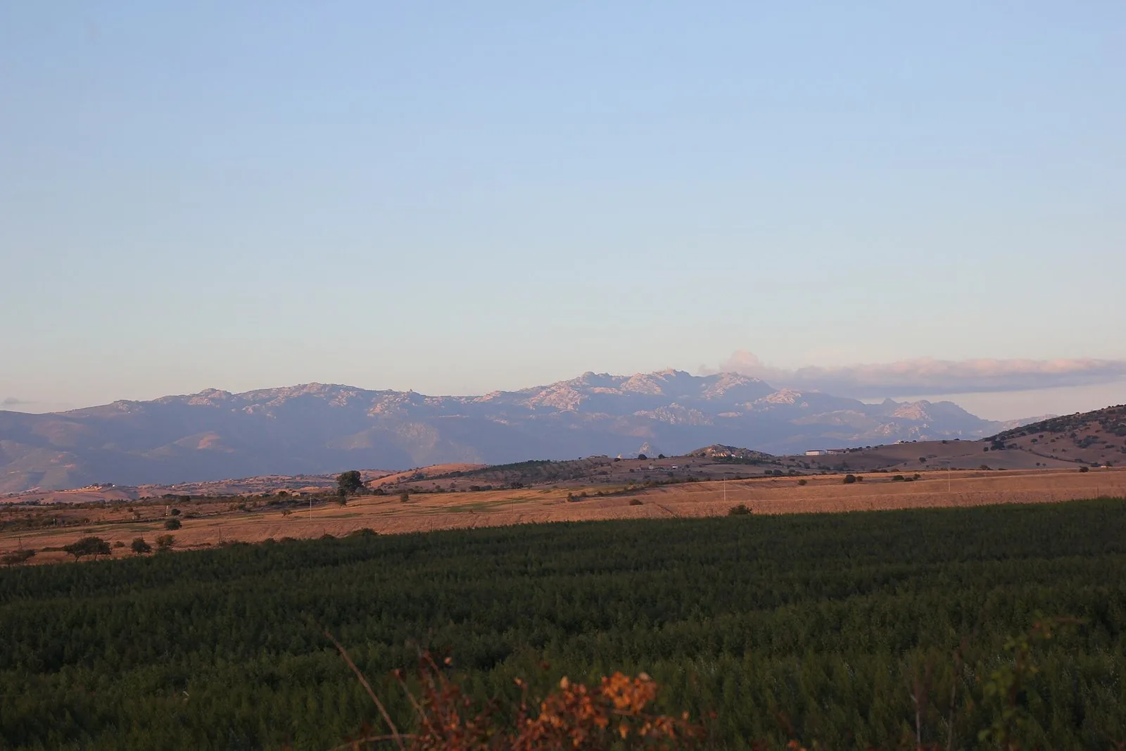Il massiccio granitico del Monte Limbara visto dalla campagna gallurese